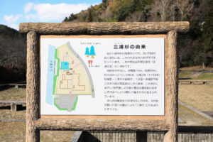 吉田八幡神社 三浦杉（県指定天然記念物）