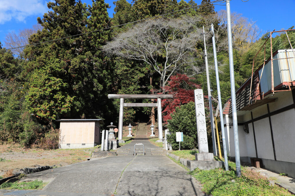 吉田八幡神社 三浦杉（県指定天然記念物）
