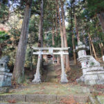 吉田八幡神社 三浦杉（県指定天然記念物）