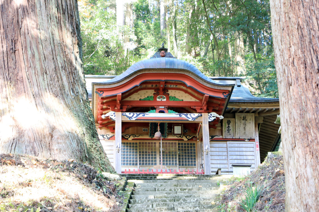 吉田八幡神社 三浦杉（県指定天然記念物）