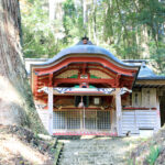 吉田八幡神社 三浦杉（県指定天然記念物）