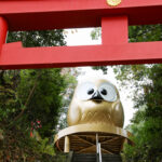 鷲子山上神社 カヤ（県指定天然記念物）