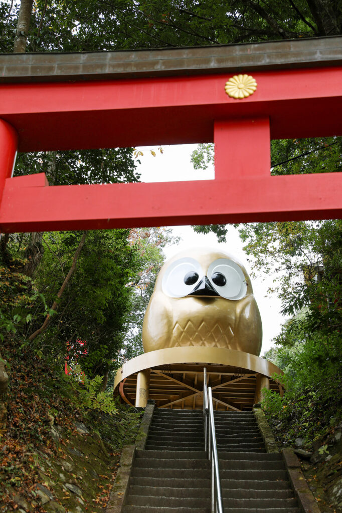 鷲子山上神社 カヤ（県指定天然記念物）