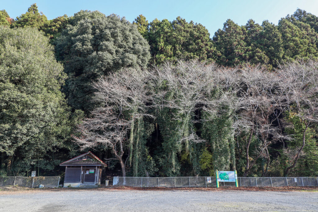 百観音自然公園