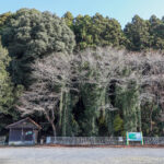 百観音自然公園