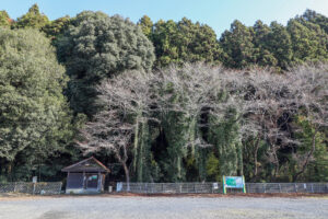 百観音自然公園