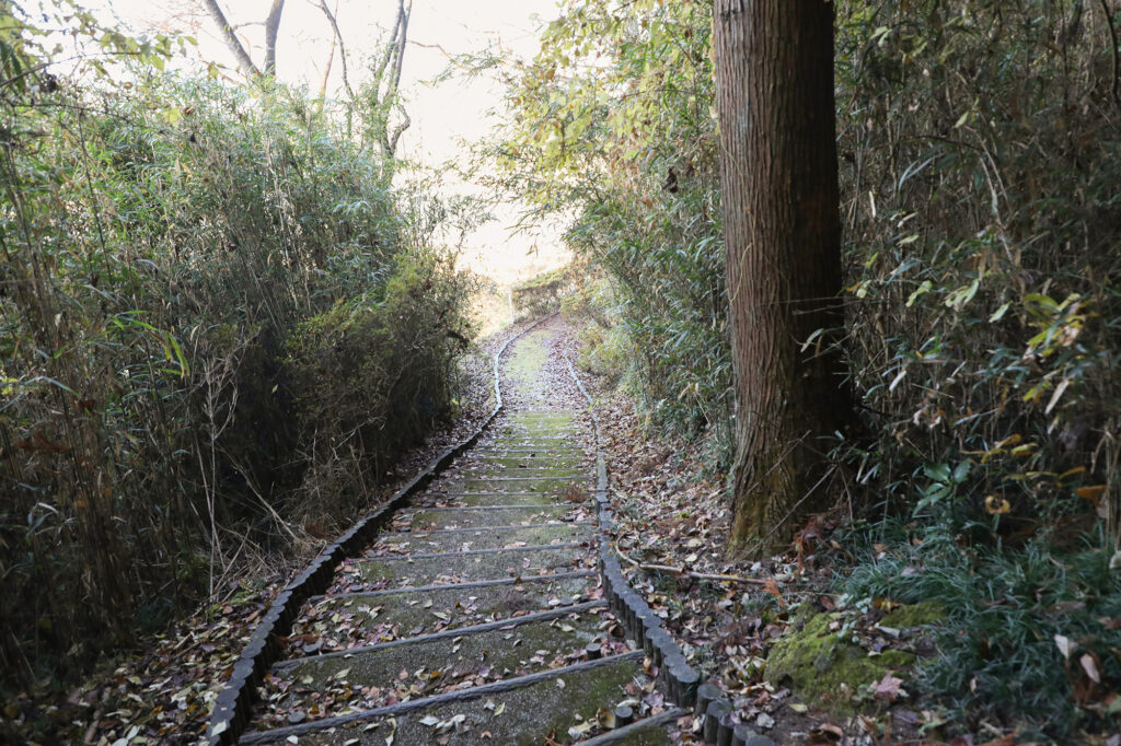 百観音自然公園