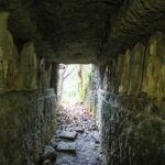 百観音自然公園