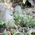 百観音自然公園