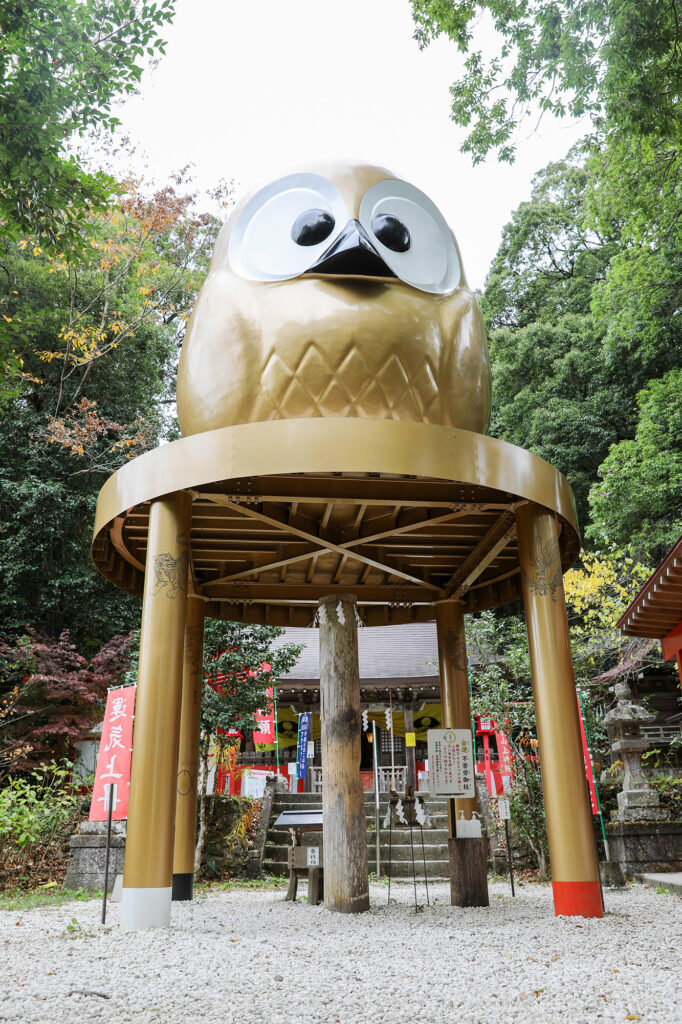 鷲子山上神社 カヤ（県指定天然記念物）