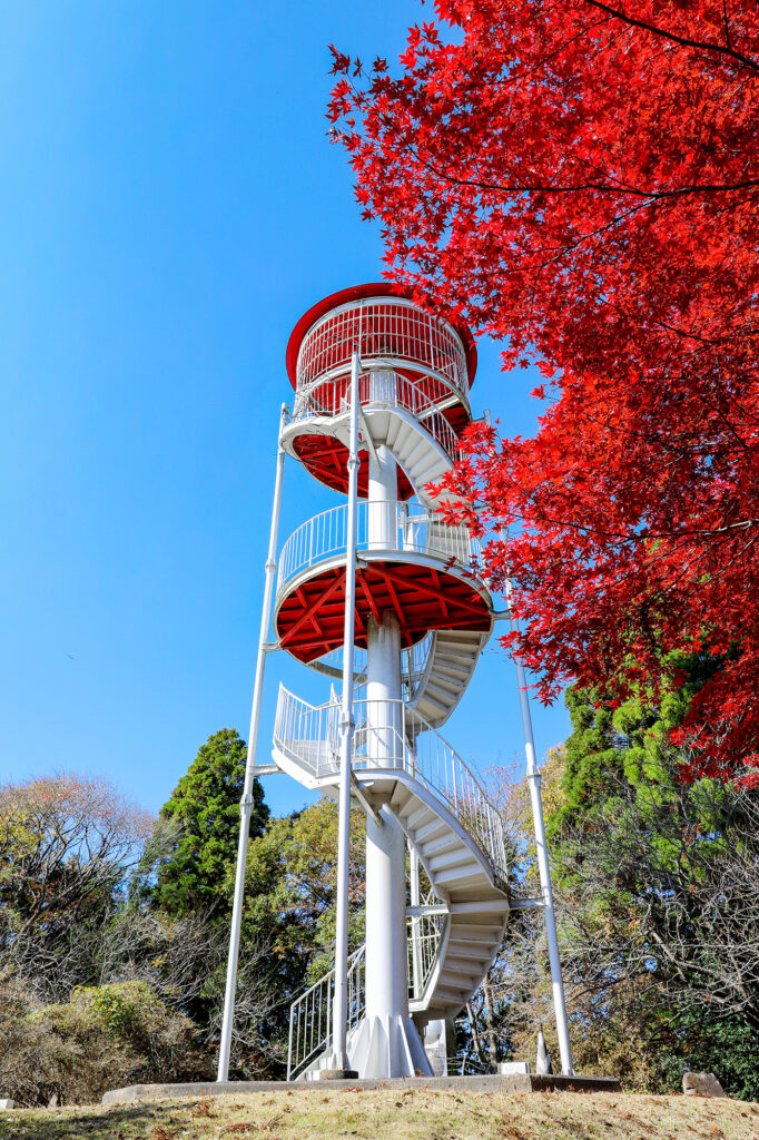三王山自然公園〈展望台〉
