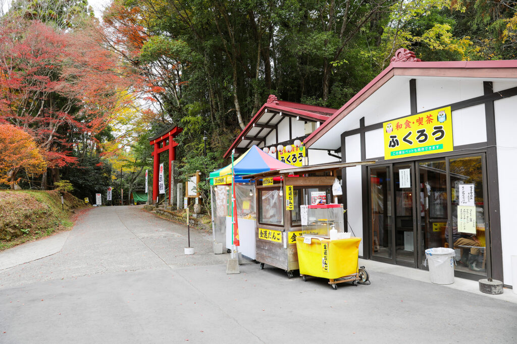 鷲子山上神社 カヤ（県指定天然記念物）
