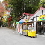 鷲子山上神社 カヤ（県指定天然記念物）