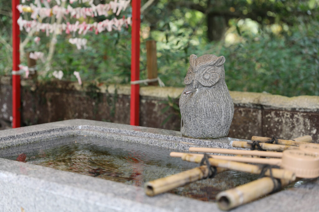 鷲子山上神社 カヤ（県指定天然記念物）