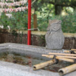 鷲子山上神社 カヤ（県指定天然記念物）