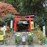 鷲子山上神社 カヤ（県指定天然記念物）