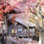 御前山青少年旅行村