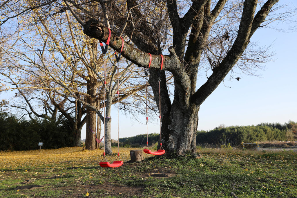 ストームフィールドガイド