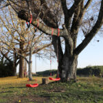 ストームフィールドガイド