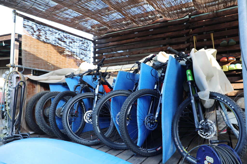 ストームフィールドガイド