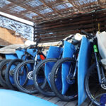 ストームフィールドガイド