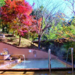 やまがたすこやかランド三太の湯