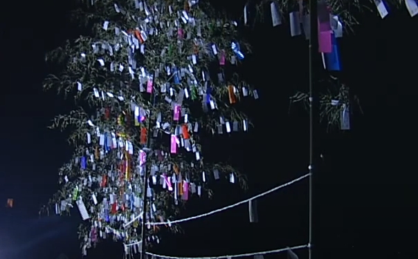 花立山星まつり