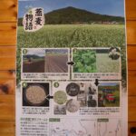 御前山ビレッジ