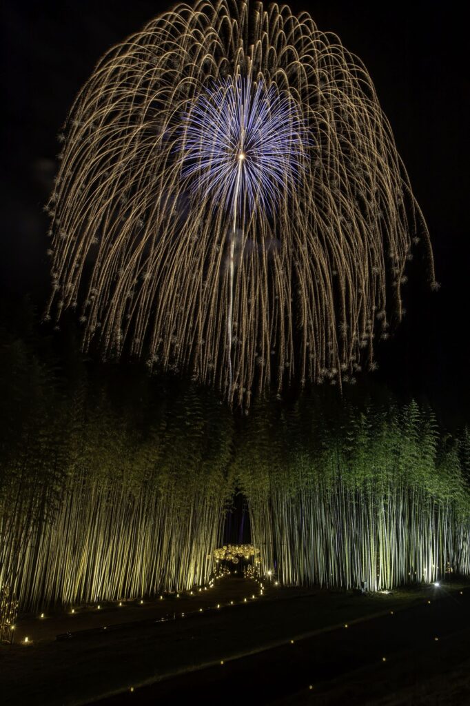 ひたち大宮辰ノ口さくら祭り