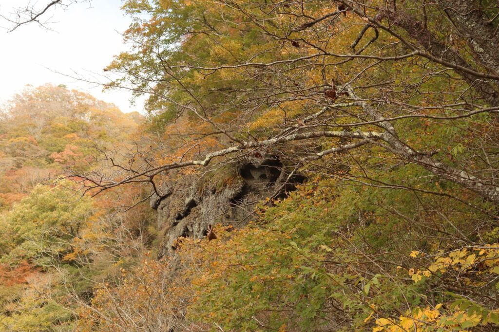 上山ハイキングコース