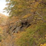 上山ハイキングコース