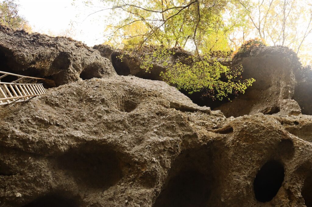 上山ハイキングコース