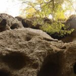 上山ハイキングコース