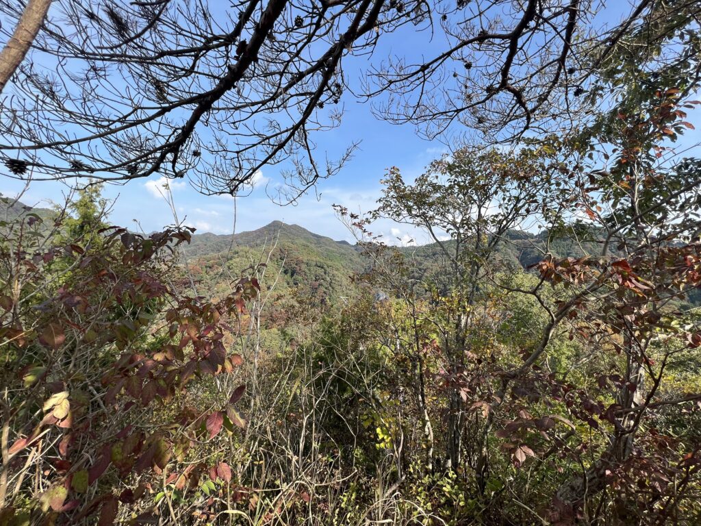 上山ハイキングコース