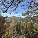 上山ハイキングコース