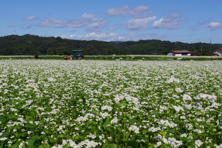 日帰り自然満喫コース