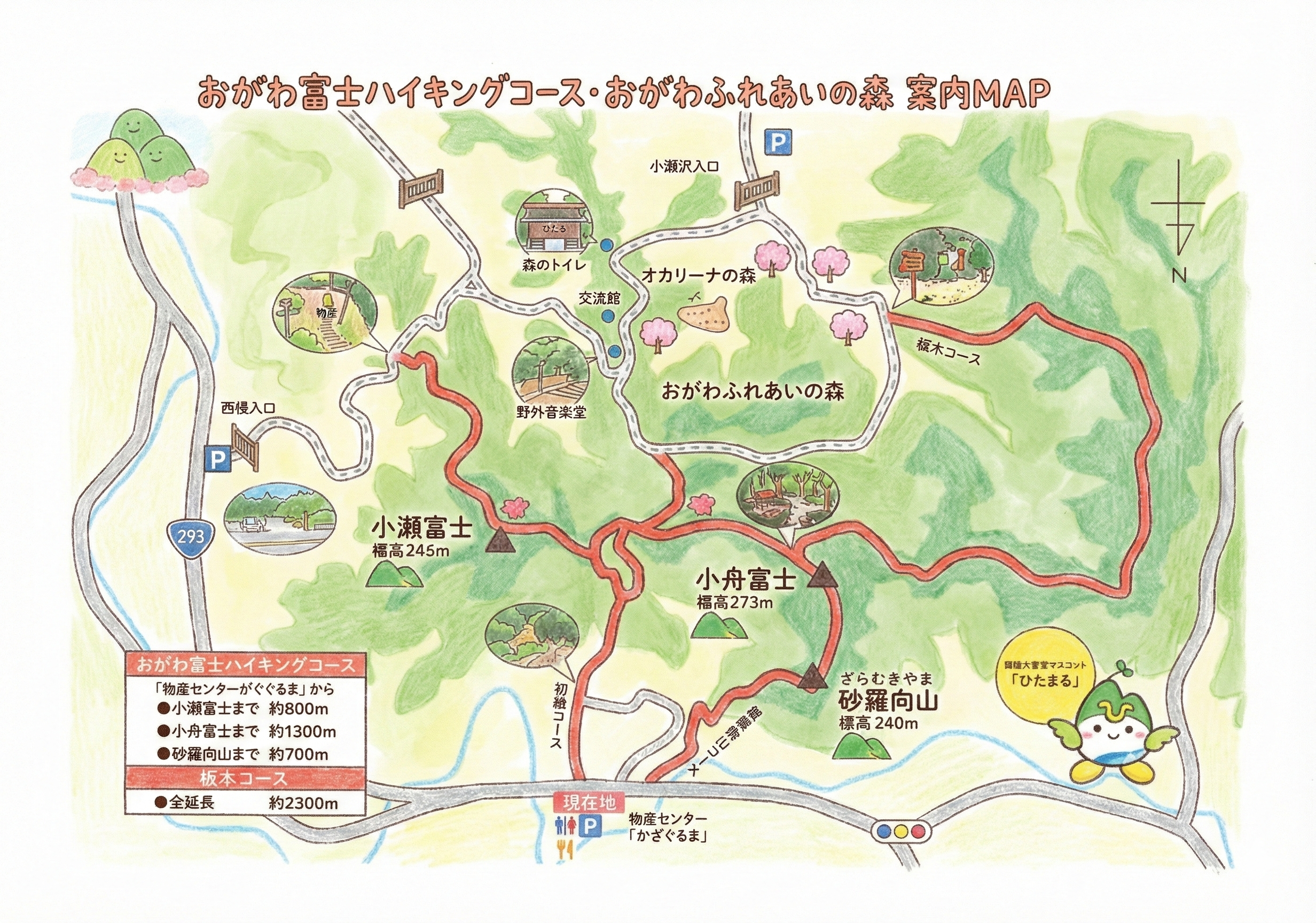 おがわ富士ハイキングコース コースマップ