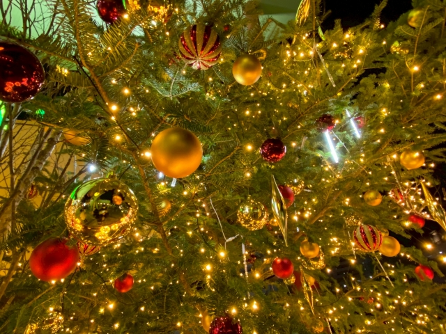 常陸大宮の冬まつり